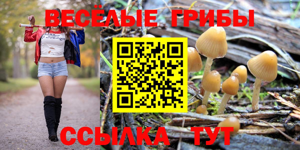 Галлюциногенные грибы MAGIC MUSHROOMS Мелеуз