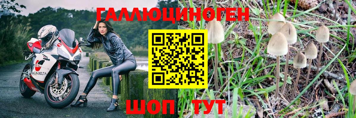 магазин продажи наркотиков  Вход с VPN  Мелеуз  Псилоцибиновые грибы MAGIC MUSHROOMS 
